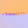 Paraguay Summit 2012