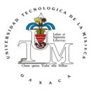 La Universidad Tecnológica de la Mixteca lleva a México a Final de Computación Mundial en París