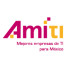 Convocatoria a la Asamblea AMITI 2013